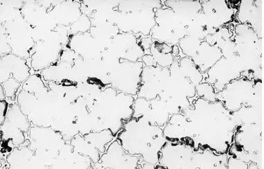 5e181d9b361cd.jpg 1.jpg