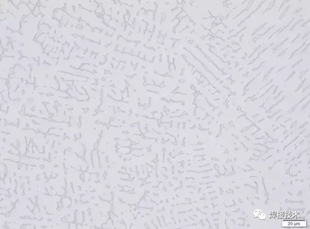 無錫不銹鋼板價格,201不銹鋼,無錫不銹鋼,304不銹鋼板,321不銹鋼板,316L不銹鋼板,無錫不銹鋼板 無錫不銹鋼板價格,201不銹鋼,無錫不銹鋼,304不銹鋼板,321不銹鋼板,316L不銹鋼板,無錫不銹鋼板